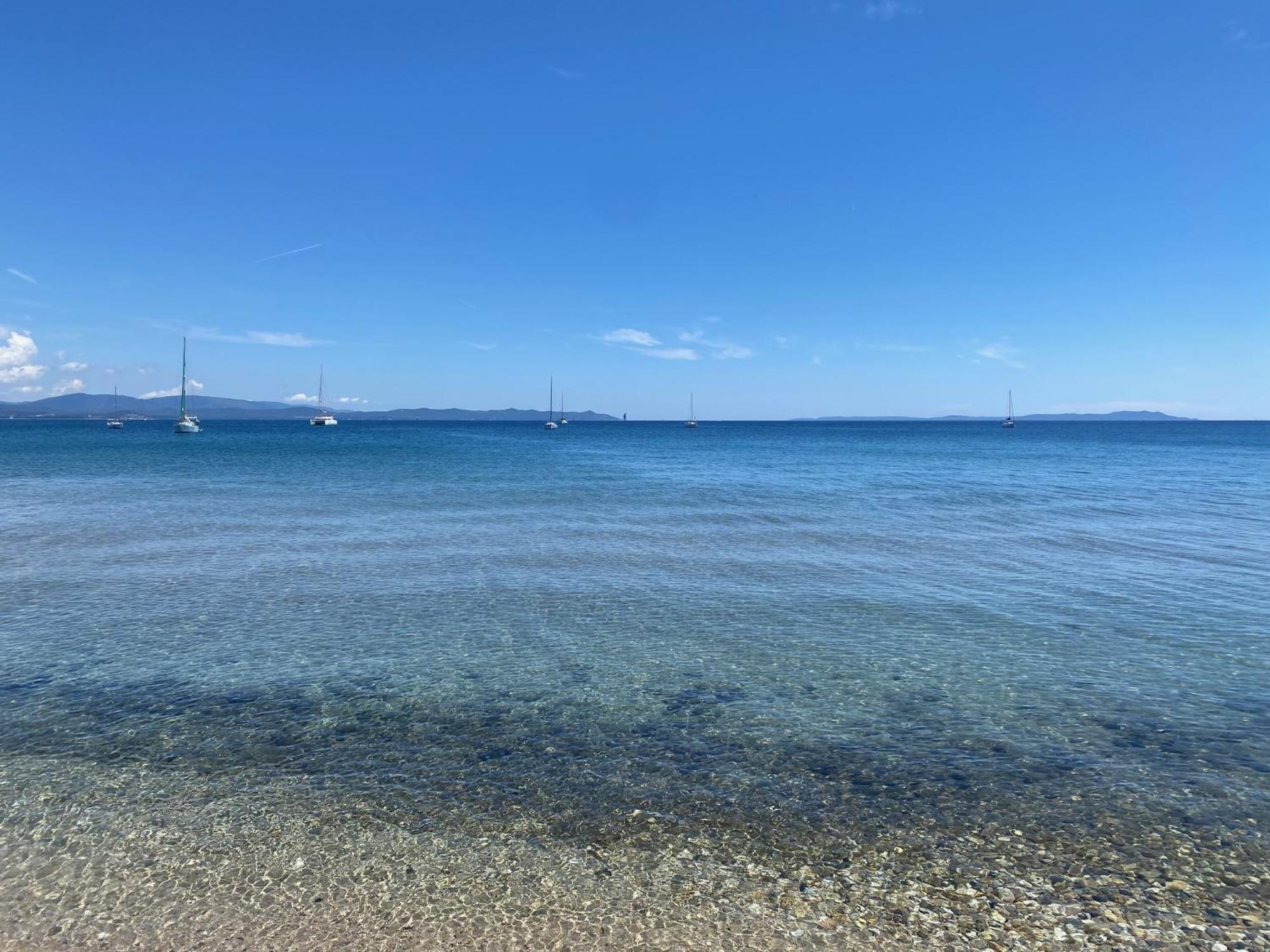 Appartement Les Cigales Rez De Jardin A 10Mn Des Plus Belles Plages Hyeres Luaran gambar
